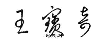 骆恒光王宝奇草书个性签名怎么写