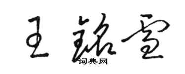 骆恒光王铭雪草书个性签名怎么写