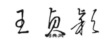 骆恒光王贞颖草书个性签名怎么写