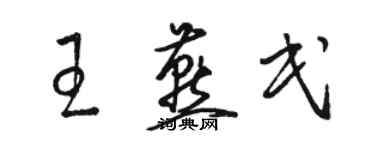 骆恒光王燕民草书个性签名怎么写