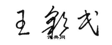 骆恒光王彩民草书个性签名怎么写