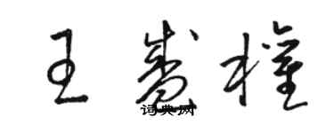 骆恒光王盛权草书个性签名怎么写
