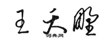 骆恒光王夭野草书个性签名怎么写