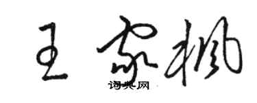 骆恒光王家枫草书个性签名怎么写