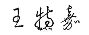 骆恒光王特嘉草书个性签名怎么写