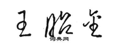 骆恒光王昭金草书个性签名怎么写
