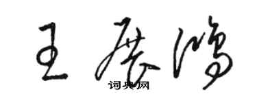 骆恒光王展鸿草书个性签名怎么写