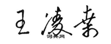 骆恒光王凌桑草书个性签名怎么写