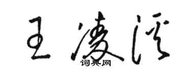 骆恒光王凌溪草书个性签名怎么写