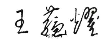骆恒光王蕴耀草书个性签名怎么写