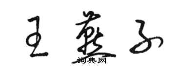 骆恒光王燕子草书个性签名怎么写