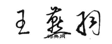 骆恒光王燕羽草书个性签名怎么写