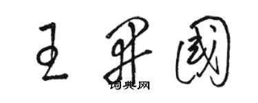 骆恒光王开国草书个性签名怎么写