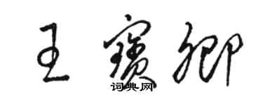 骆恒光王宝卿草书个性签名怎么写