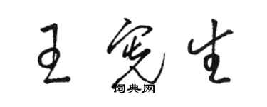 骆恒光王宪生草书个性签名怎么写