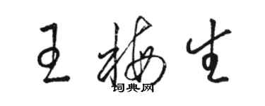 骆恒光王梅生草书个性签名怎么写