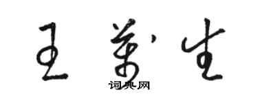 骆恒光王万生草书个性签名怎么写