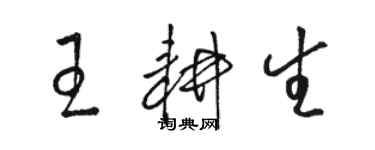 骆恒光王耕生草书个性签名怎么写