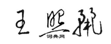 骆恒光王照丽草书个性签名怎么写