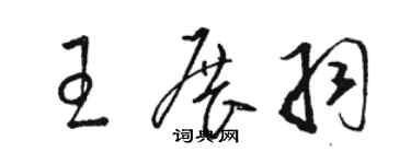 骆恒光王展羽草书个性签名怎么写