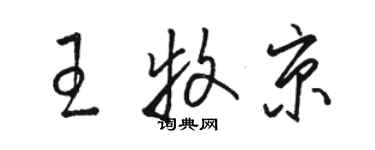 骆恒光王牧京草书个性签名怎么写