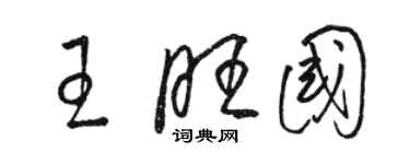 骆恒光王旺国草书个性签名怎么写