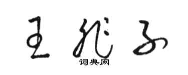 骆恒光王非子草书个性签名怎么写