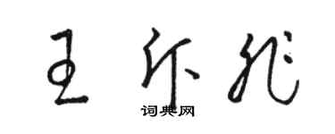 骆恒光王斥非草书个性签名怎么写