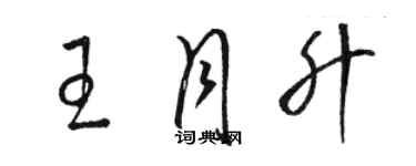 骆恒光王月升草书个性签名怎么写