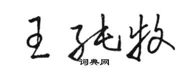 骆恒光王纯牧草书个性签名怎么写
