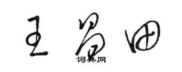 骆恒光王昌田草书个性签名怎么写