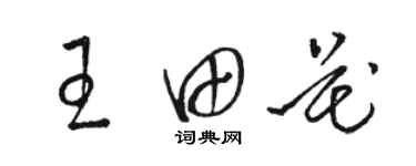 骆恒光王田花草书个性签名怎么写