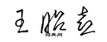 骆恒光王昭喜草书个性签名怎么写