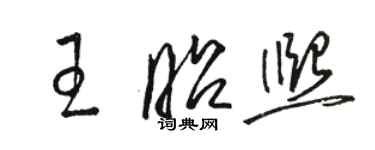 骆恒光王昭熙草书个性签名怎么写