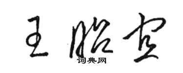 骆恒光王昭宜草书个性签名怎么写