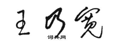 骆恒光王乃宽草书个性签名怎么写