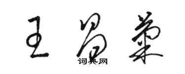 骆恒光王昌菊草书个性签名怎么写