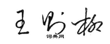 骆恒光王则柳草书个性签名怎么写