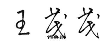 骆恒光王茂茂草书个性签名怎么写