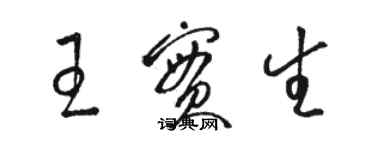 骆恒光王实生草书个性签名怎么写