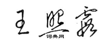 骆恒光王照霞草书个性签名怎么写