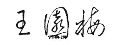 骆恒光王园梅草书个性签名怎么写