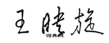 骆恒光王映旋草书个性签名怎么写