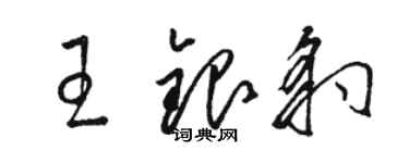 骆恒光王银豹草书个性签名怎么写