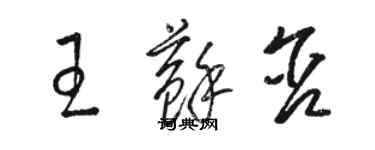 骆恒光王苏含草书个性签名怎么写