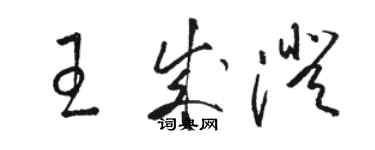骆恒光王成澄草书个性签名怎么写