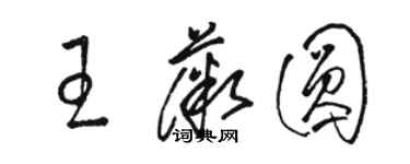 骆恒光王薇圆草书个性签名怎么写