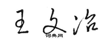 骆恒光王文冶草书个性签名怎么写