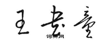 骆恒光王书童草书个性签名怎么写