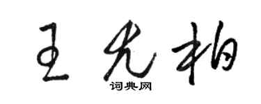骆恒光王尤柏草书个性签名怎么写